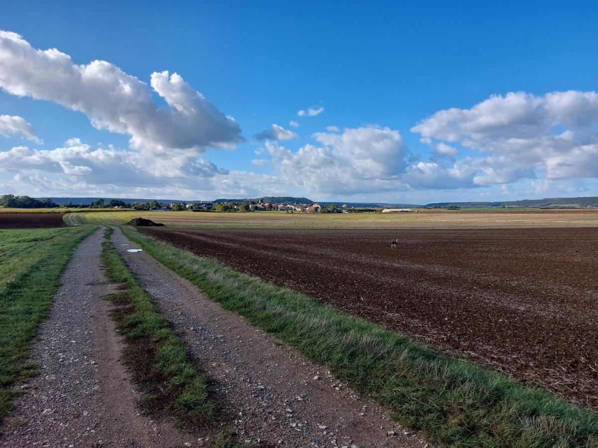 Отель Le Magiot Montliot-et-Courcelles Экстерьер фото